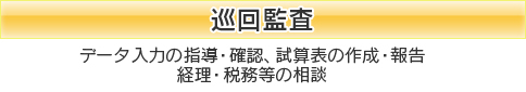巡回監査